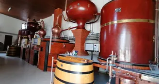 ABK6 Cognac