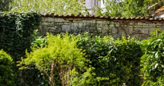Les Jardins de l'Argentor Les Jardins de l'Argentor