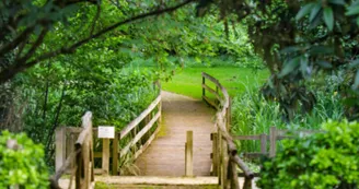 Les Jardins de l'Argentor Les Jardins de l'Argentor
