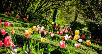 Les Jardins de l'Argentor Les Jardins de l'Argentor