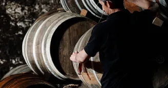 Cognac Painturaud Frères Cognac Painturaud Frères