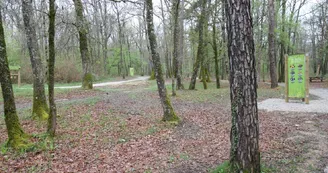 Forêt de Bois Blanc Forêt de Bois Blanc