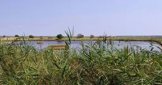 Le Marais des Bris Le Marais des Bris