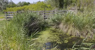 Le Marais des Bris Le Marais des Bris