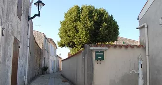 Quartier du Vieux Chapus Quartier du Vieux Chapus