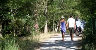 Forêt de Saint-Trojan-les-Bains Forêt de Saint-Trojan-les-Bains