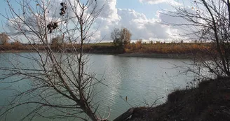 Etang de Courcerac Etang de Courcerac
