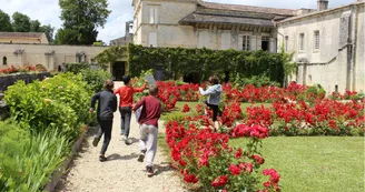 Abbaye de Fontdouce Abbaye de Fontdouce