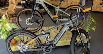 Location vélos Cycles Demion - Saint-Trojan les Bains Location vélos Cycles Demion - Saint-Trojan les Bains