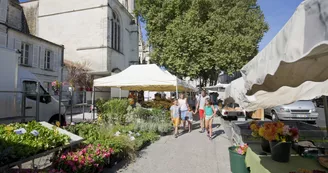 Marché Saint-Pierre de Saintes Marché Saint-Pierre de Saintes