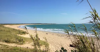 Plage des Huttes Plage des Huttes