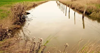Marais de l'éguille Marais de l'éguille