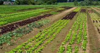 La Vallée de l'Arnoult La Vallée de l'Arnoult