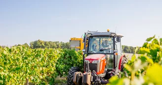 Domaine des Quillets Domaine des Quillets