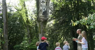 Le Château des Énigmes Le Château des Énigmes