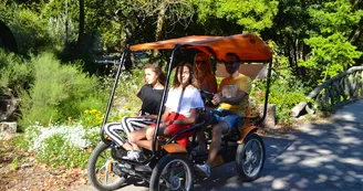 Cycling Tour