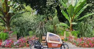 Cycling Tour
