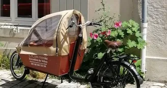 Cycling Tour