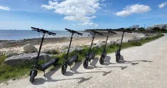 Cycling Tour