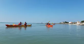 Sorties en Kayak - Kayak Découverte 17 Sorties en Kayak - Kayak Découverte 17