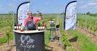 Vignoble Biteau Vignoble Biteau