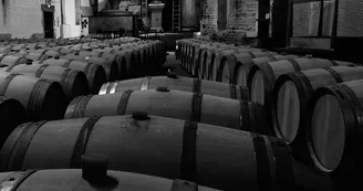 Domaine et Distillerie Brillouet Domaine et Distillerie Brillouet