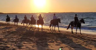 Les Cavaliers du Fort Boyard - Balades à cheval Les Cavaliers du Fort Boyard - Balades à cheval