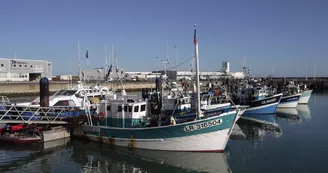 Port de pêche Chef de Baie - La Rochelle Port de pêche Chef de Baie - La Rochelle