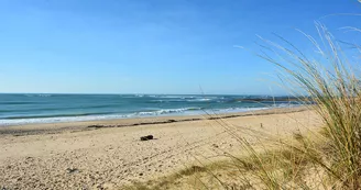 Plage de la Biroire Plage de la Biroire