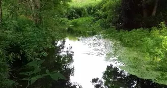 Bords de Gères Bords de Gères