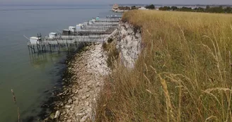 Pelouses calcicoles et côteaux de Gironde Pelouses calcicoles et côteaux de Gironde