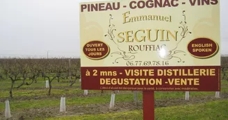 Domaine Seguin Emmanuel Domaine Seguin Emmanuel