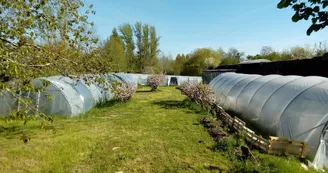 Visite de la ferme de Spiruline du domaine d'Echoisy Visite de la ferme de Spiruline du domaine d'Echoisy