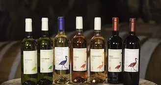 Domaine des Claires Domaine des Claires
