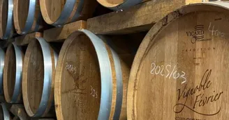 Vignoble Février Vignoble Février