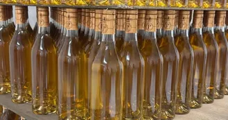 Vignoble Février Vignoble Février