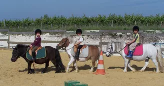 Ecurie des agriers Ecurie des agriers