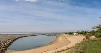 Plage des Anses Plage des Anses