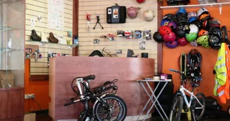 Les Vélos de Fouras Les Vélos de Fouras