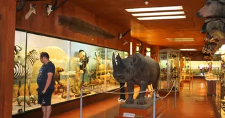 Musée Africain Musée Africain