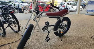 Royan By Cycles