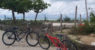 Location Vélos - Le Vélocipède Location Vélos - Le Vélocipède