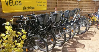 Loc'Vélos Quad 17 Loc'Vélos Quad 17