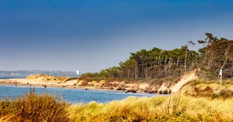 Plage de l'Embellie Plage de l'Embellie