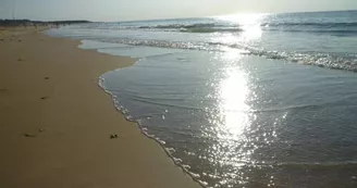 Plage de l'Embellie Plage de l'Embellie