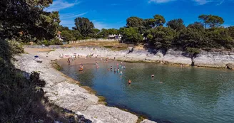 Plage du Conseil Plage du Conseil