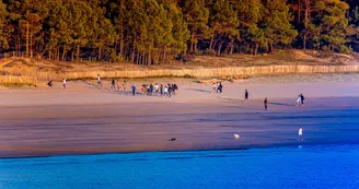 Plage de Suzac Plage de Suzac