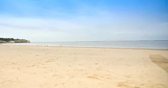 Grande Plage Sud -Les Oliviers Grande Plage Sud -Les Oliviers