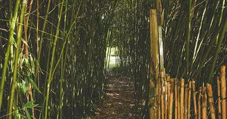 Jardin du Riollet Jardin du Riollet