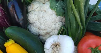 Escale Fermière Escale Fermière